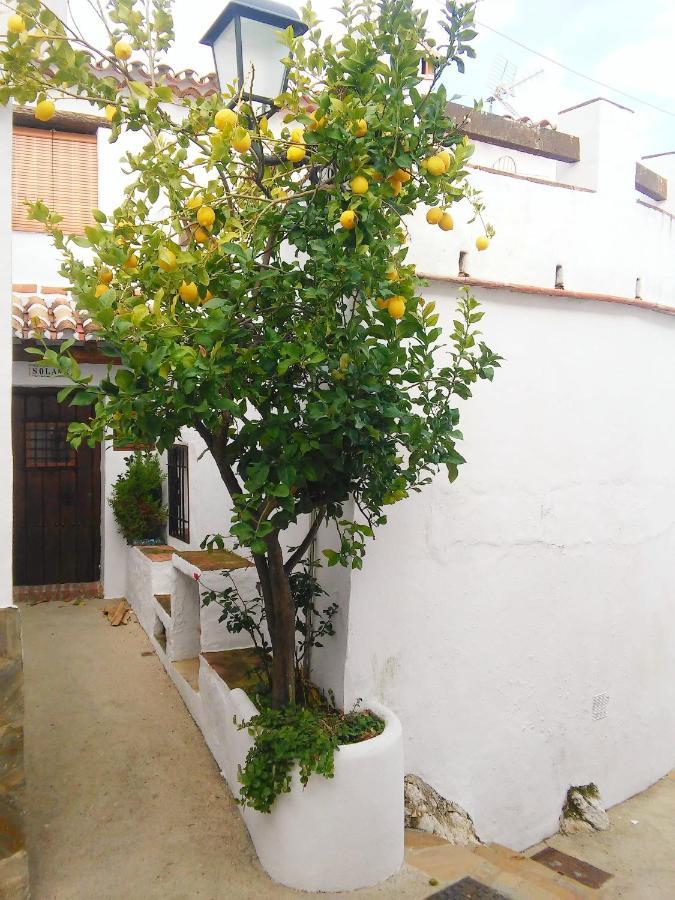 Benadalid Casa Solanaヴィラ エクステリア 写真
