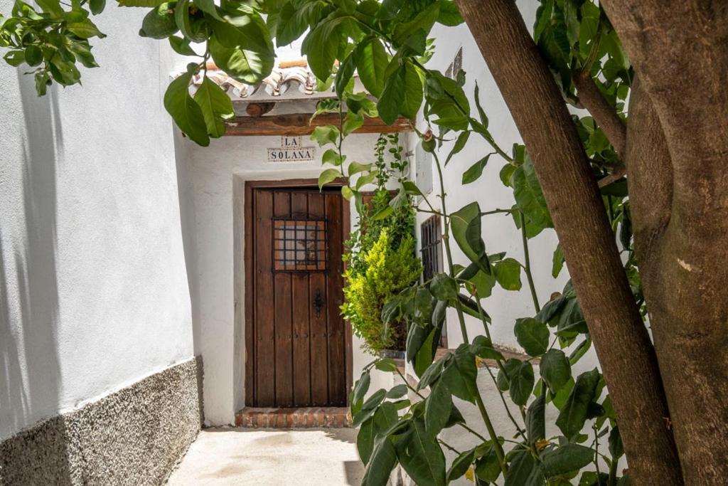 Benadalid Casa Solanaヴィラ エクステリア 写真